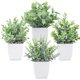 thumbnail image 1 of Plantas Artificiales Der Rose 4 Unidades 18 cm Mini, 1 of 3