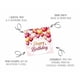 thumbnail image 3 of Edición de tarjetas de felicitación Seidel Premium Square Happy Birthday, 3 of 6