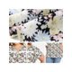 thumbnail image 5 of GRACE & GRANDEUR Blusa Floral de Pascua para Mujeres de Talla Grande con Cuello en V, Ribete de Encaje y Mangas con Volantes para Verano, Casual, Talla 2X, Negro, 5 of 6