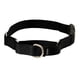 thumbnail image 1 of Collar Martingale PetSafe con hebilla Quick Snap, negro, talla M, 1 of 5