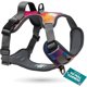 thumbnail image 1 of Embark No Pull Dog Harness, Reflective Adjustable Training Vest, Medium, 1 of 3