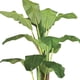 thumbnail image 5 of Planta Artificial Decorativa Arbol Grande Pack Banano 180cm, 5 of 9