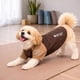 thumbnail image 4 of Playera reflectante de rendimiento para perro Pet Life Active Hybreed, 4 of 9