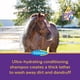 thumbnail image 3 of Champú Farnam Vetrolin Bath ultrahidratante de 1,89 litros para caballos y perros, 3 of 7