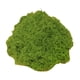 thumbnail image 4 of Plantas Verdes Artificiales, Plantas En Maceta, Manualidades, Relleno, Decoración Para Patio, 50G, Musgo Sintético, Verde Claro, 4 of 5