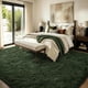 thumbnail image 3 of Alfombra verde de felpa FinRèc Home 183 × 274 cm, 3 of 9