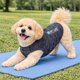 thumbnail image 4 of Playera sin Mangas para Perro Pet Life Active Aero-Pawlse Jaspeada, 4 of 9
