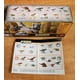 thumbnail image 5 of Figuras de dinosaurios Mattel Jurassic World Minis HPY13-956A x11, 5 of 5