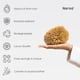 thumbnail image 3 of Sea Sponge Soft Natural X Large Para Bañarse, 3 of 7
