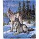 thumbnail image 1 of Wolf Throw Blanket Soft Lightweight Plush Flannel Fleece Blanket with Forest Animal Wolf Couple Print Pattern for Couch Sofa Bed Travel All Season Decorative Blanket for Baby Kids, 1 of 5