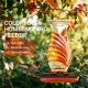 thumbnail image 5 of Comedero de Colibrí Grete Gotye de Vidrio 24oz con 5 Puertos Rojo, 5 of 8