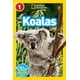 thumbnail image 1 of Libro Koalas de National Geographic Kids Readers de nivel 1, 1 of 1