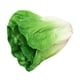 thumbnail image 5 of Vegetal Artificial Realista De Poliuretano Artificial Para Decorar La Sala De Estar, Lechuga Navide?a., 5 of 5