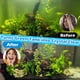 thumbnail image 2 of Filtro para acuario COOSPIDER 300 GPH con UV, filtro canister para 75 a 200 galones, 2 of 7