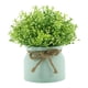 thumbnail image 3 of Pequeñas Plantas Artificiales En Maceta Para Bodas, Oficina, Orquídea Falsa, Flor De Frijol En Maceta Verde., 3 of 5