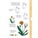 thumbnail image 3 of Flores y plantas silvestres - Dibujar en 10 pasos, 3 of 4