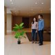 thumbnail image 3 of Planta Decorativa Artificial Moderna Interior Hogar Jhn, 3 of 3