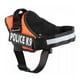 thumbnail image 1 of Arnes Pechera K9 Alcochado Reforzado Perros Grandes Xl Paseo, 1 of 3