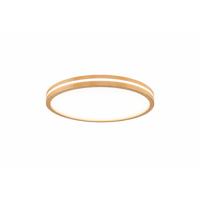 Space Home - Plafón Led Techo 40Cm 48W 4000Lm Control Remoto