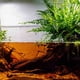 thumbnail image 5 of Polvo de hoja para acuario GREEN WATER FARM 25 g concentrado, 5 of 9