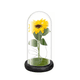 thumbnail image 1 of Girasol eterno lámpara cúpula decoración, 1 of 3