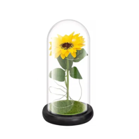 Genérico - Girasol Eterno Lámpara Cúpula Decoración