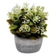 thumbnail image 2 of Planta Artificial Macetero Cerámica Vintage Plants Cubo blanco, 2 of 3