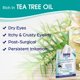 thumbnail image 2 of Toallitas para párpados Dr. Fischer Tea Tree para limpiar los ojos con 24 horas de hidratación, 2 of 9