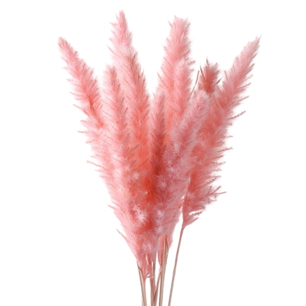15 piezas de césped artificial seco, ramo de flores de caña de phragmitas para jarrón, para sala de estar, accesorios de fotografía, decoración de hab , Rosado