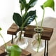 thumbnail image 2 of Add a touch of creativity to your living space with this 1pc Transparent Glass Hydroponic Vase. Perfect for your desktop, this vase is a creative and beautiful addition to your living room, study or o, 2 of 4