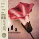 thumbnail image 1 of Coda – WEWANTSOUNDS, 1 of 1
