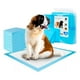 thumbnail image 1 of 120 Pañales Sabanillas Mascotas Perros Y Gatos 60x60cm Aspor, 1 of 8