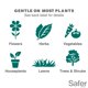 thumbnail image 5 of Jabón concentrado para matar insectos Safer 5118-6 para plantas, 5 of 9