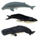 thumbnail image 4 of Set de figuritas de juguete Safari Ltd. Antarctica Toob Penguins de 3 años o más, 4 of 6
