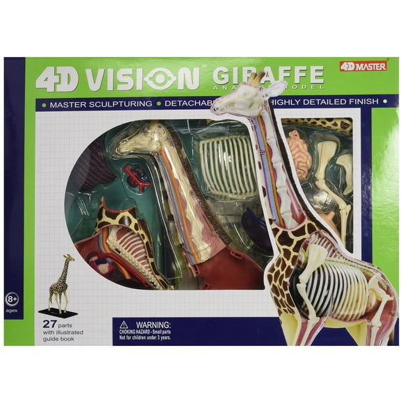 Kit Científico Famemaster Modelo de Anatomía de Jirafa 37 cm