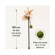 thumbnail image 3 of Varilla Pluma Y Bola Catnip Para Gato 50 Cm, 3 of 10