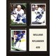 thumbnail image 1 of Placa C&I Collectables NHL Toronto Maple Leafs 20 x 25 cm color café, 1 of 1