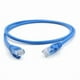 thumbnail image 3 of 5 Unidades Cables Ethernet Cat6 30cm Cables De Red Ethernet, 3 of 4