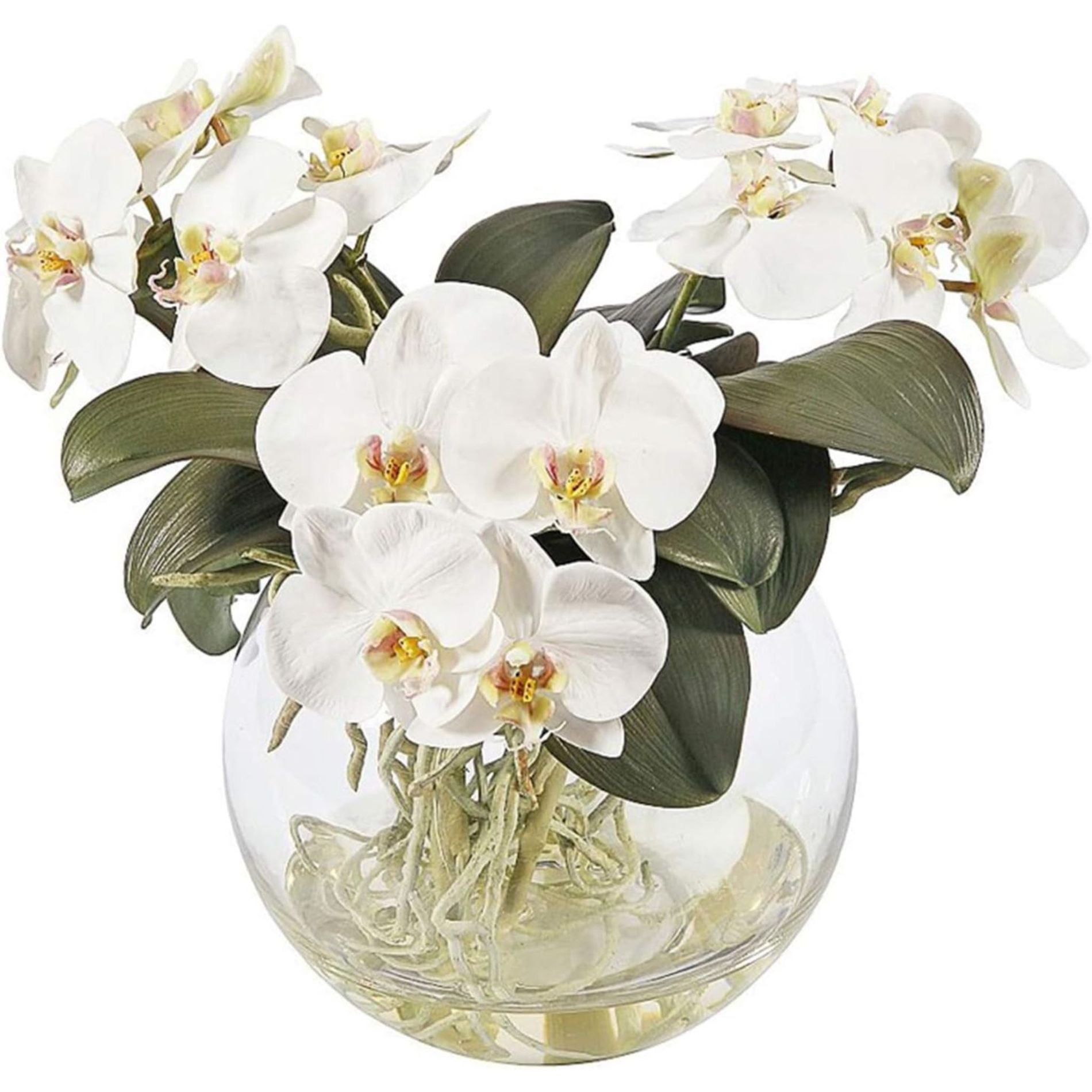 Genérico - Florero De Vidrio Redondo Acuario 12cm