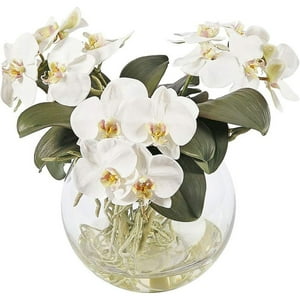 Genérico - Florero De Vidrio Redondo Acuario 12Cm