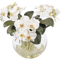 Genérico - Florero De Vidrio Redondo Acuario 12Cm