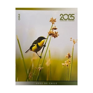 Temática Chile - Calendario Escritorio Aves De Chile 2025 - Varios Aut