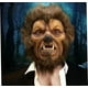 thumbnail image 2 of Mascara Halloween Hombre Lobo Werewolf, 2 of 5