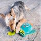 thumbnail image 5 of Puzzle para perros Outward Hound Nina Ottosson Silly Legz de peluche azul, 5 of 6