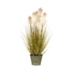 thumbnail image 1 of Grass Plumas 61 cm, 1 of 1