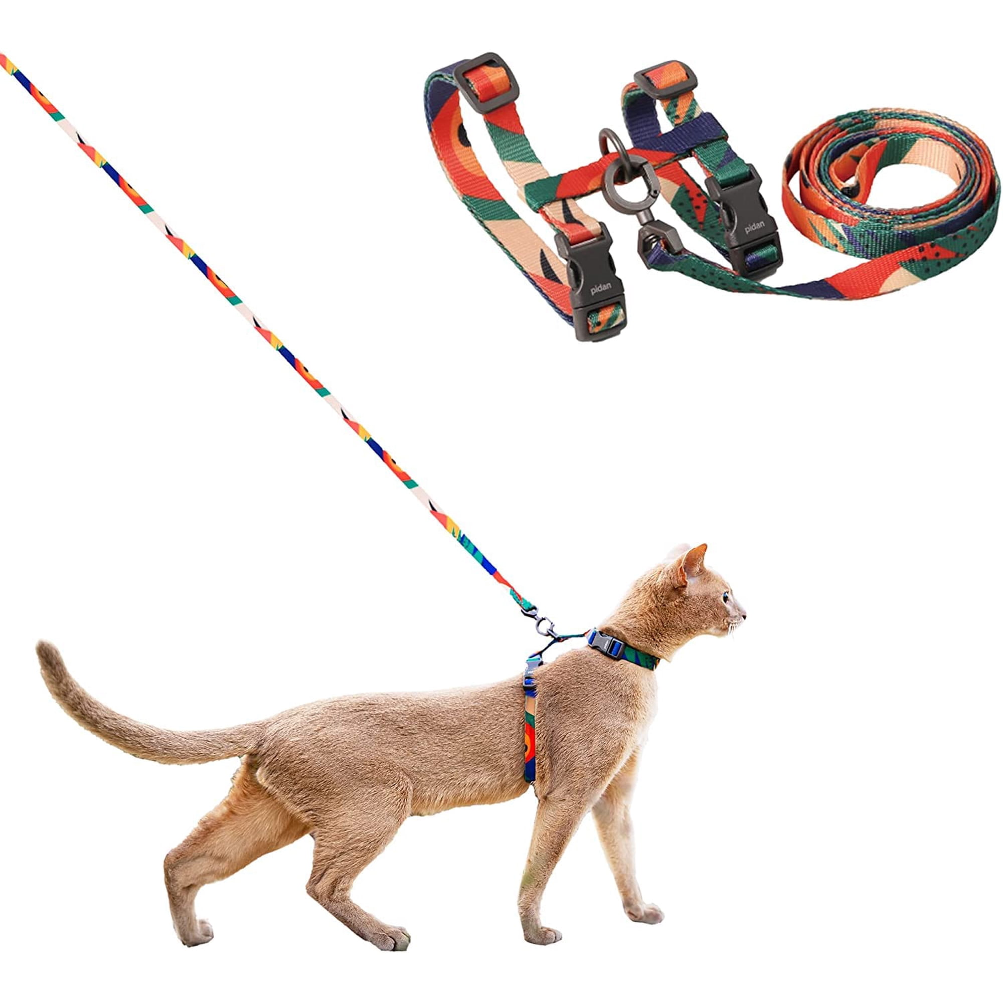 Set De Arnés Y Correa Para Gatos Pidan Ajustable