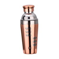 Bothyi - Coctelera De Acero Inoxidable, Herramienta Para Barra De Bebidas, Accesorios Para Barra, Viaje, Oro Rosa