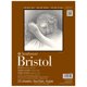 thumbnail image 1 of Bristol Strathmore 28 cm × 36 cm 15 hojas 2 capas, 1 of 1