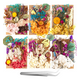 thumbnail image 2 of Flores secas reales cajas variadas, 2 of 3