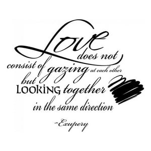 Rienda Libre Graphics - Decomural The Same Direction Love Ws-15655